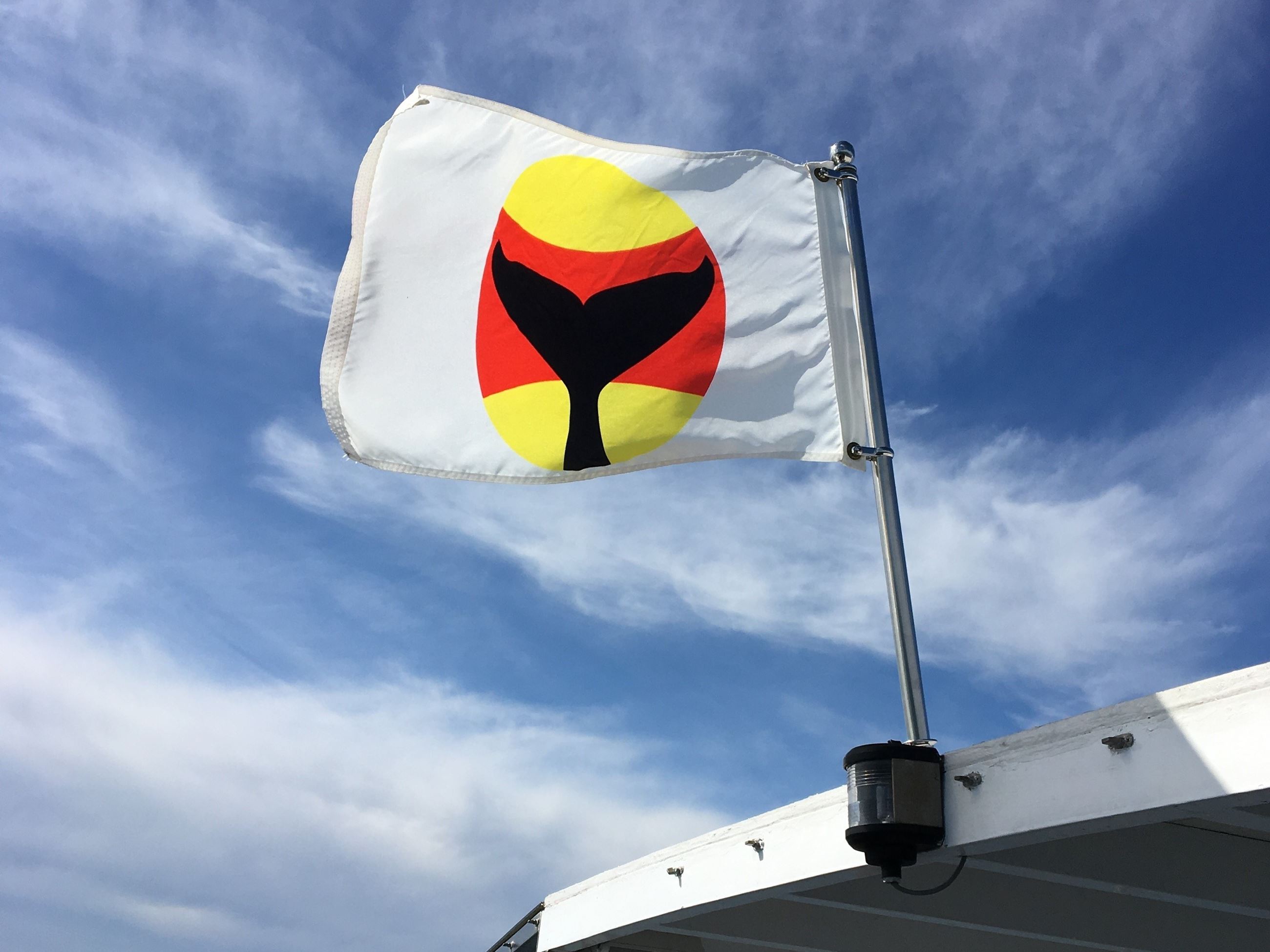 Whale Warning Flag by Jeanne Hyde