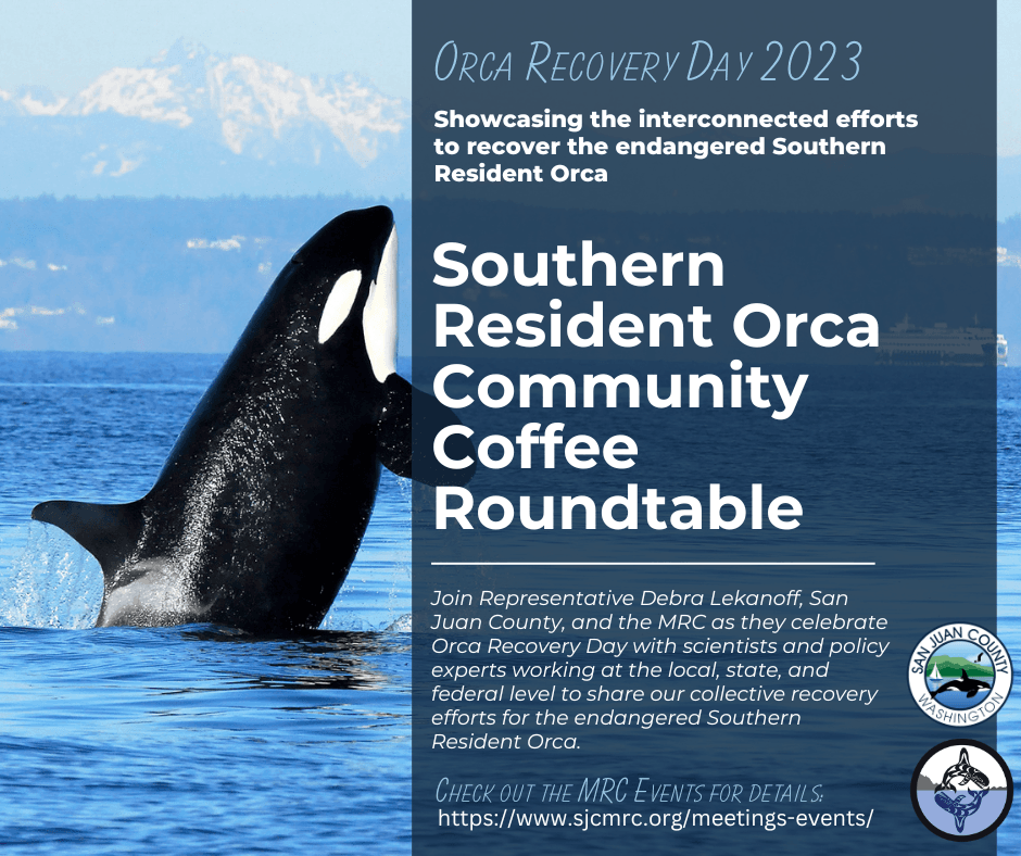 Southern Resident Orca Community Coffee Round Table