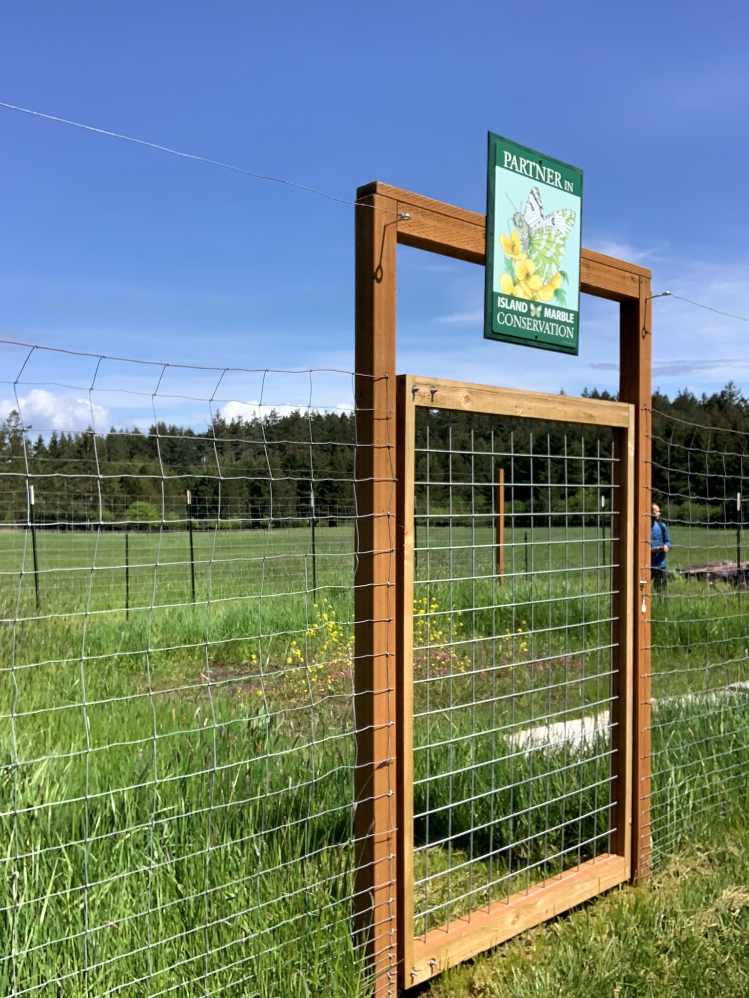 Island Marble Butterfly Habitat Created on Private Property