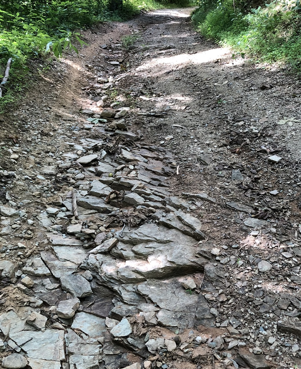 Turtleback Road Damage2