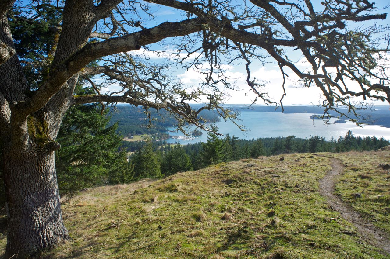 Turtleback Trail Closures