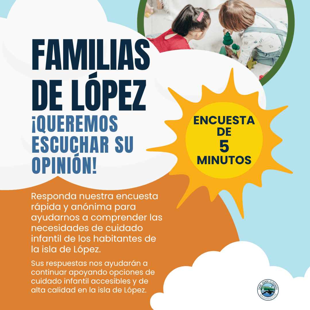 Lopez Needs Assessment Survey Poster (Instagram Post)