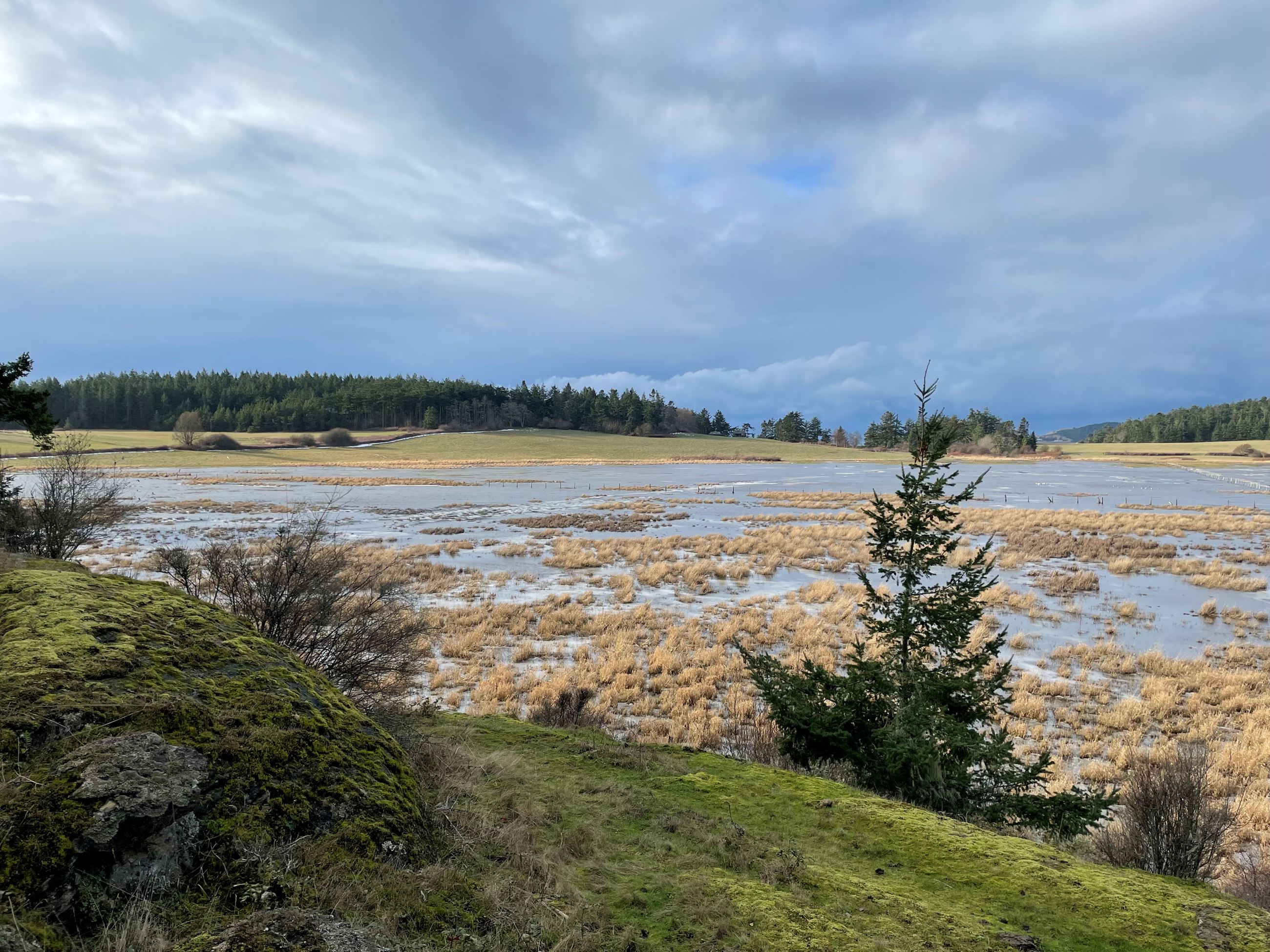 TitlePage_RichardsonMarsh