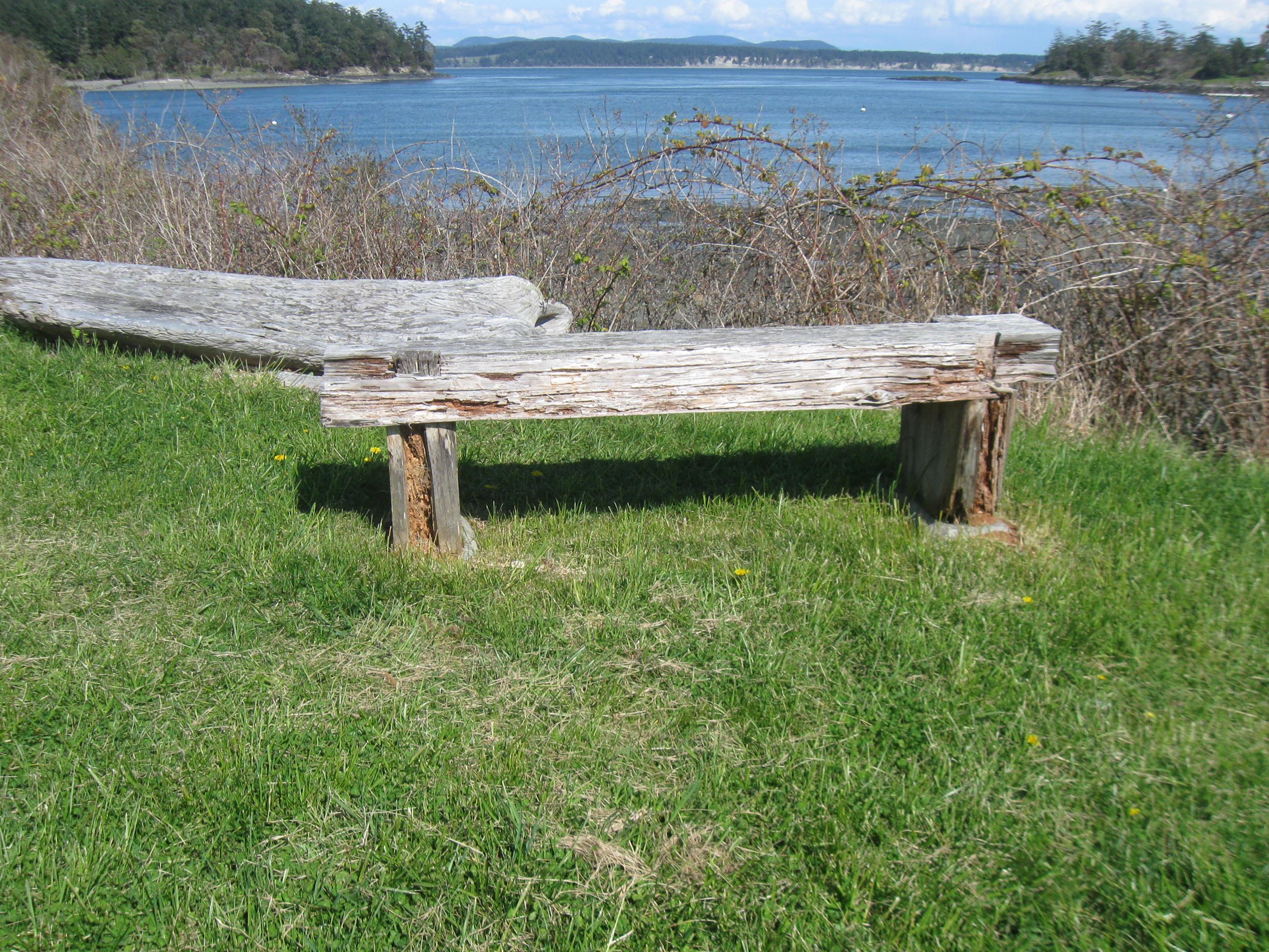 Turn Point County Day Park - Bench